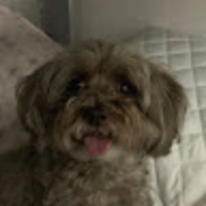 Meet your Posher, Jayde